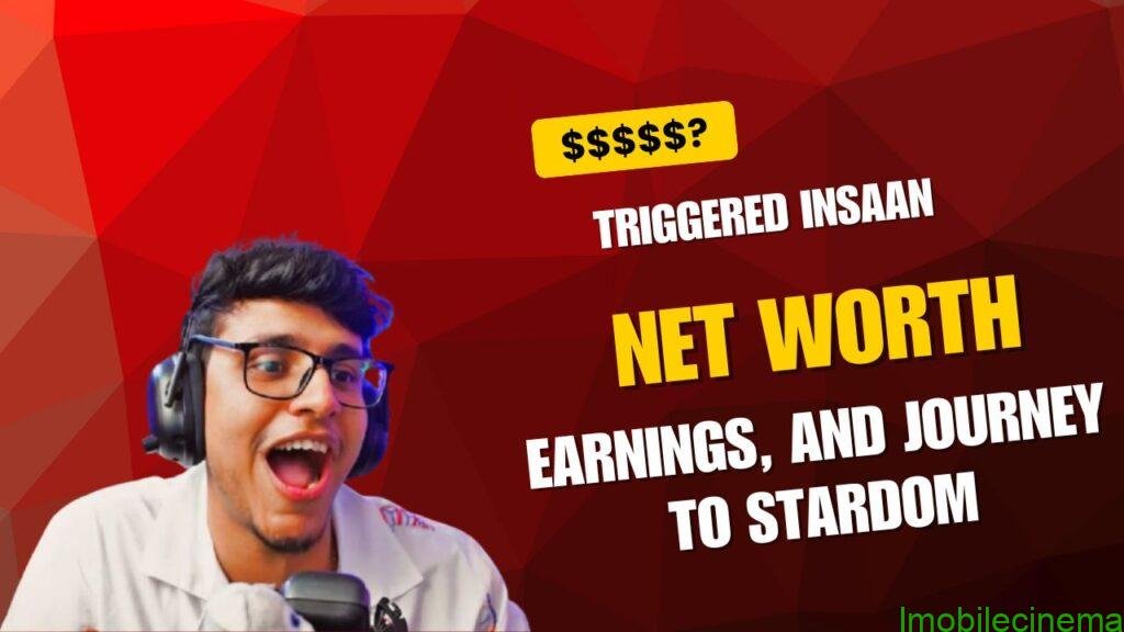 Triggered Insaan Net Worth